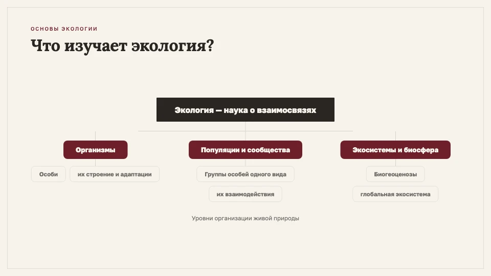 Слайд «Что изучает экология?» со схемой уровней организации живой природы